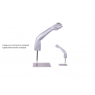 Presentatie Lange Arm en Hand voor Orthopedische Producten 